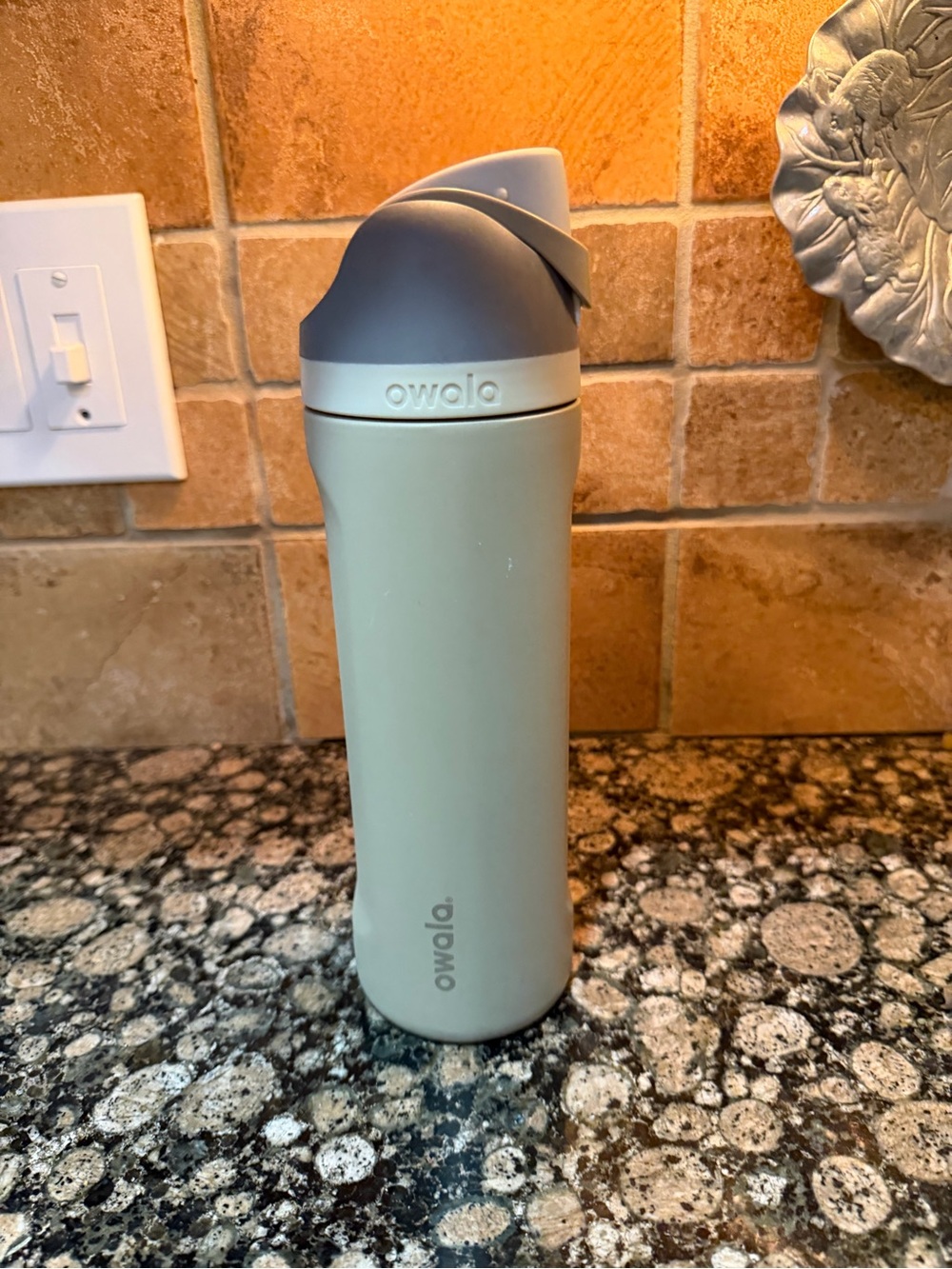 Owala Sage Green Stainless Steel Water Bottle with Gray Flip Lid